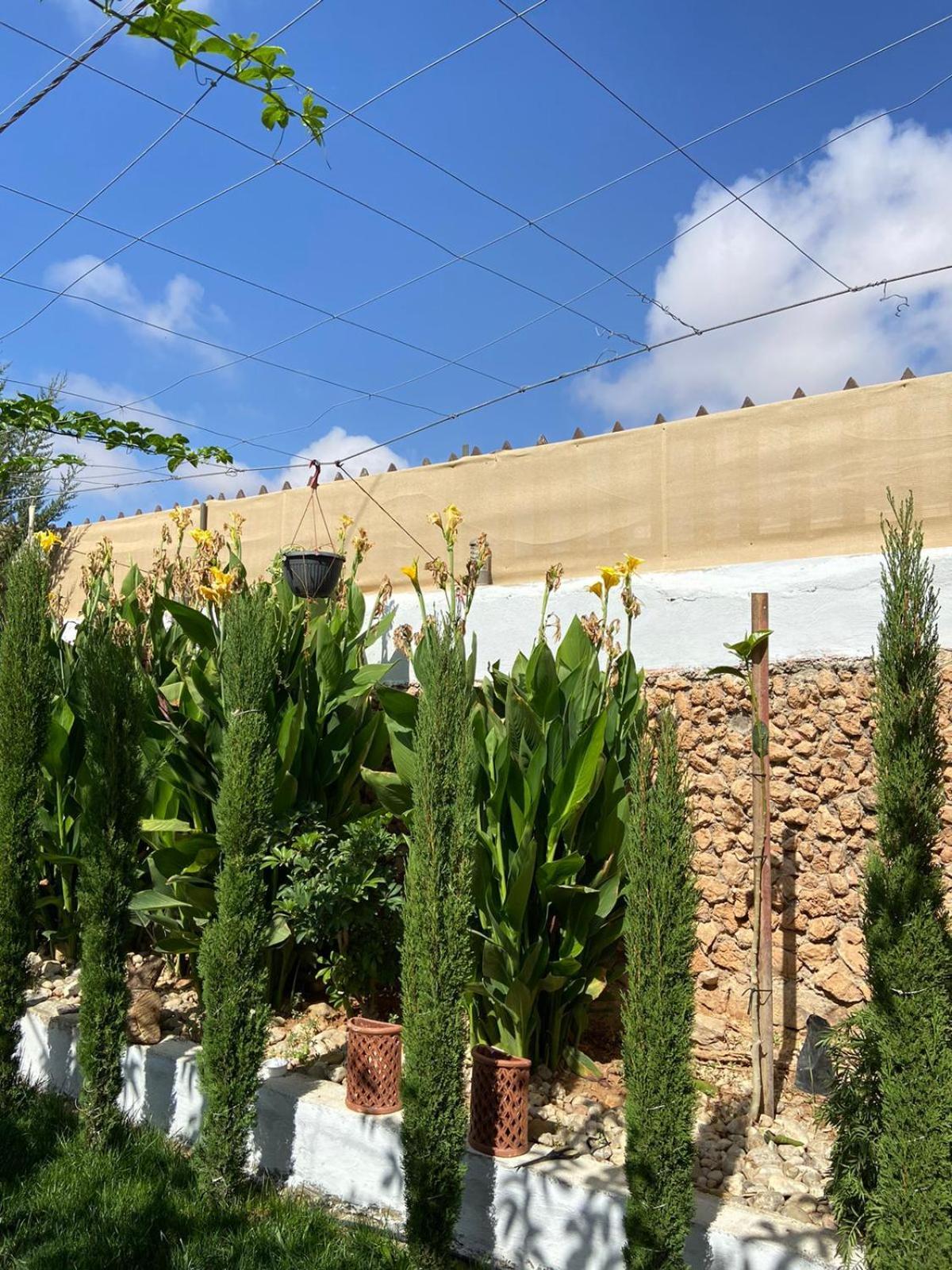 Simple Home Madaba Buitenkant foto